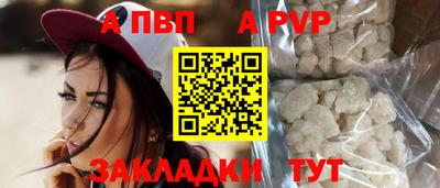 крисы Новокубанск
