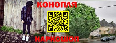 крисы Новокубанск