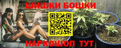 крисы Новокубанск
