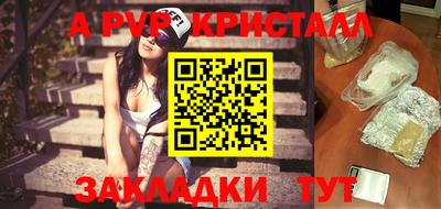 крисы Новокубанск